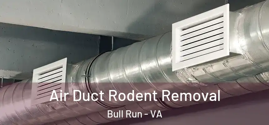  Air Duct Rodent Removal Bull Run - VA