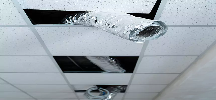 Our Air Duct Pet Hair Removal Services in Bull Run, VA