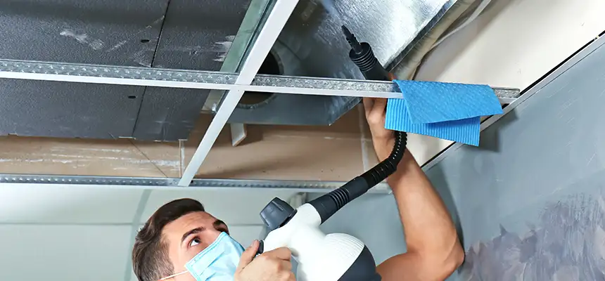 Our Air Duct Rodent Removal Services in Bull Run, VA