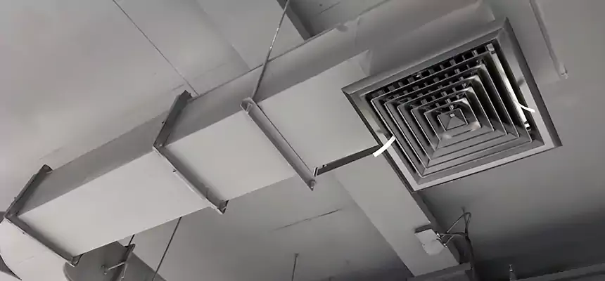 Restorative Allergy Relief Vent Cleaning – Coil, Blower & Housing Detail in Bull Run