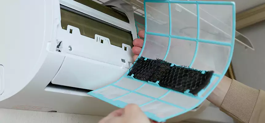 Gentle Ductwork Odor-Control Pet Dander Duct Cleaning in Bull Run, VA