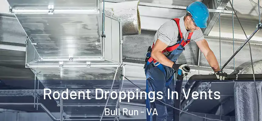 Rodent Droppings In Vents Bull Run - VA