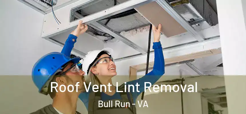 Roof Vent Lint Removal Bull Run - VA