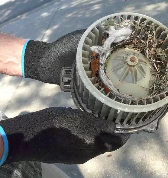 About Air Duct Mice Removal in Bull Run, VA