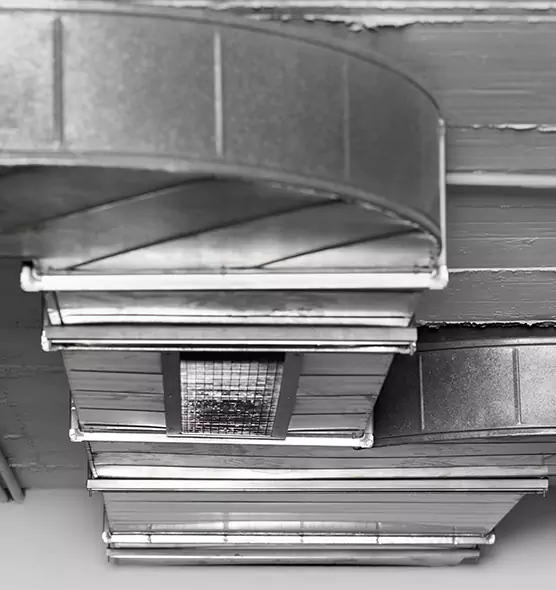 Professional Air Duct Pest Removal in Bull Run, VA