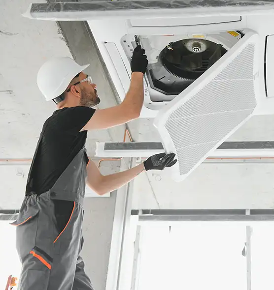 About Air Duct Rodent Removal in Bull Run, VA