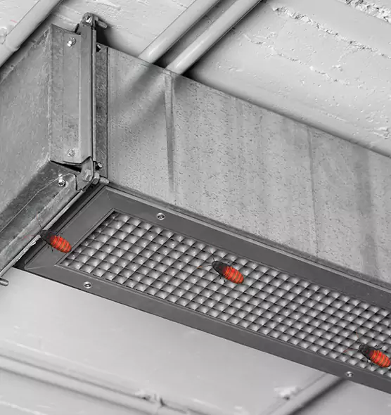 Affordable Insect Removal from Air Ducts in Bull Run, VA