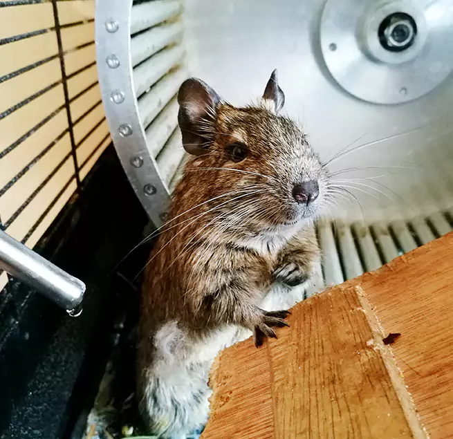 Why Homeowners & Businesses Trust Us Bull Run, VA?