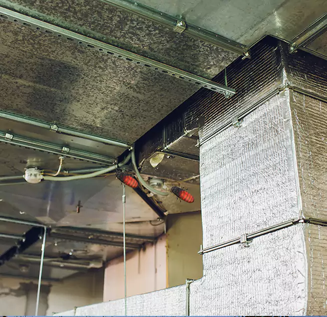 Why Homeowners & Businesses Trust Us Bull Run, VA?