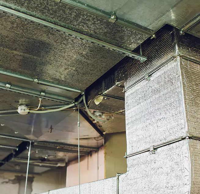 Why Homeowners & Businesses Trust Us in Bull Run, VA?